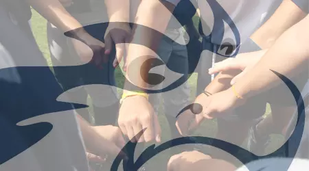 Hands In
