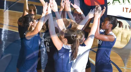 VB Team