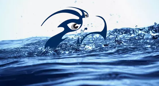 Swimming Graphic