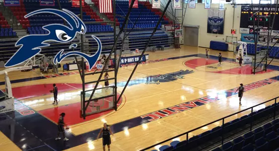 WBB_FAU_Preview