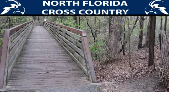 cross_country_path2