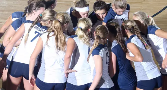 Vball huddle_2011