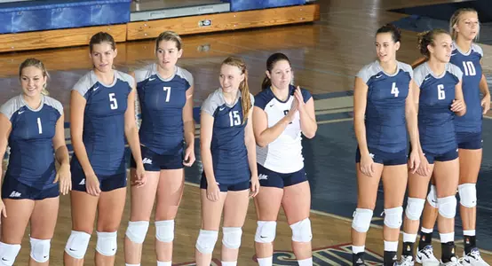 vb2011-season