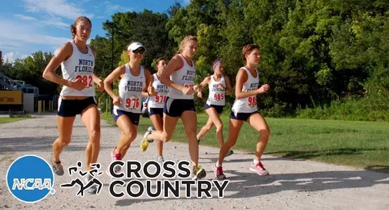 South_region_banner2