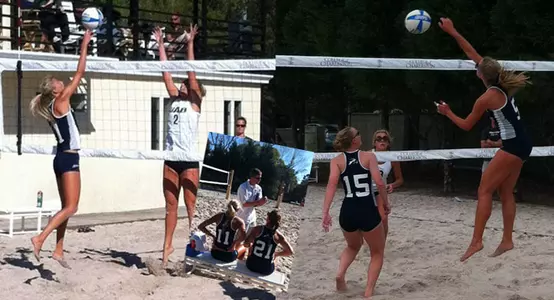 sandvb_cofc_d3