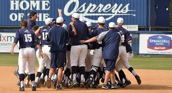 Baseball Celebration