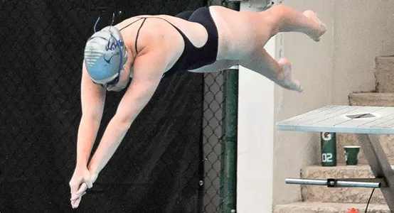 WSWIM