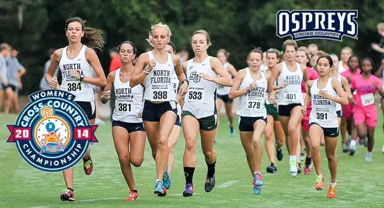 WXC_ASun14-preview