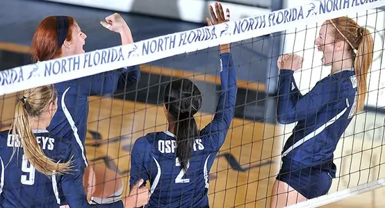 VB Team