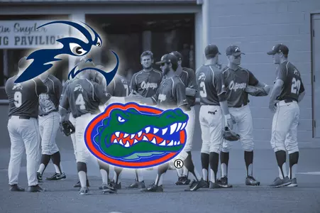 Baseball-Florida