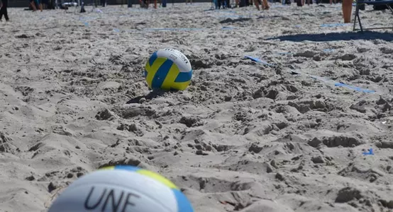 sandvb14_lead