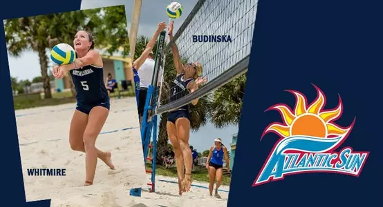Budinska-Whitmire_SVB_POW14