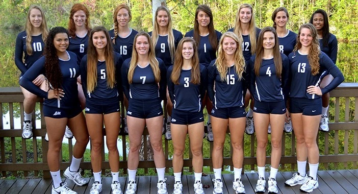 2014 VB Team Photo