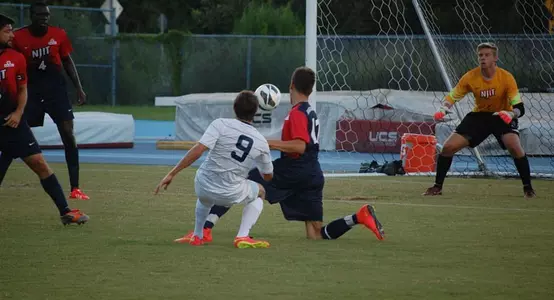 Morell-Header2