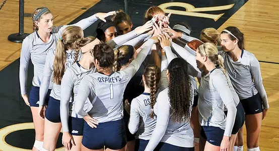 VB Team