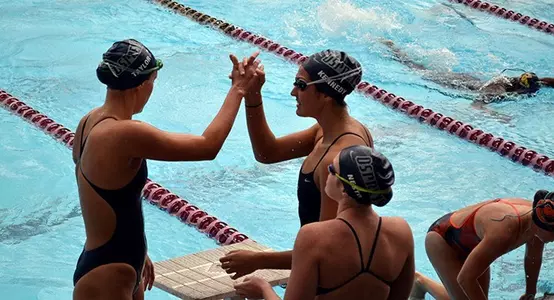 Picture of Swimmers High-Five