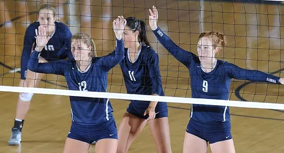 VB Team General