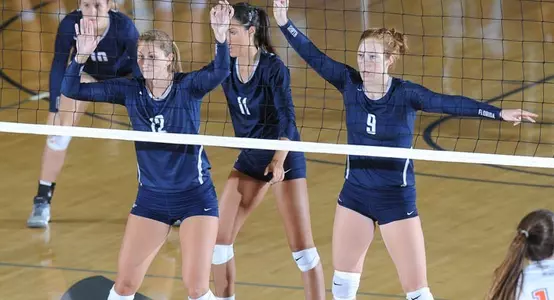 Volleyball action picture