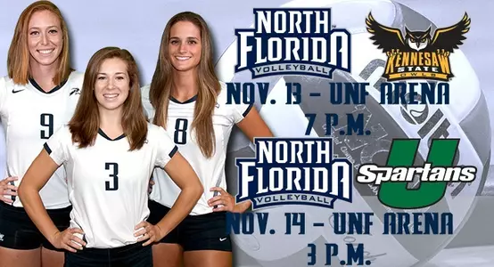 Volleyball preview image