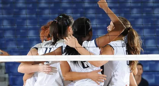 Volleyball Huddle picture