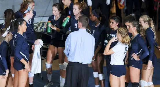 Group sideline shot of UNF Volleyball