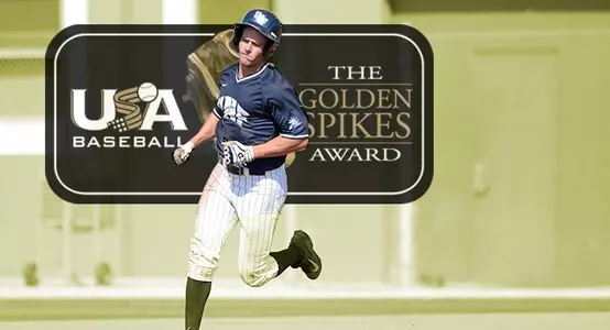 Dewees Golden Spikes
