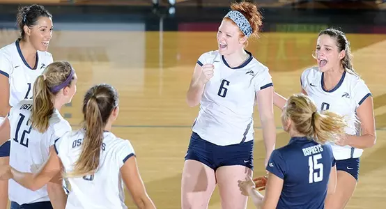 VB Team