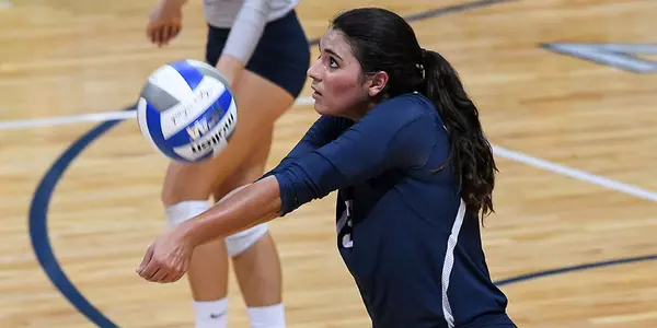 Ashley-LaBorde-Dig