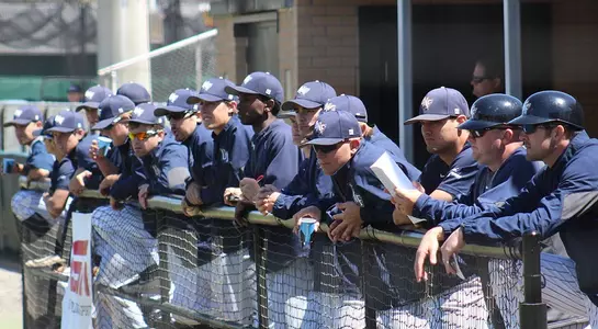 Team hanging over the railing watching the game