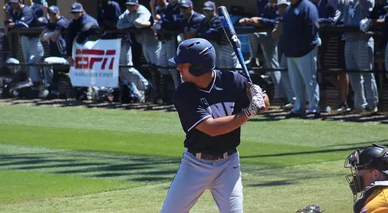 Skinner batting