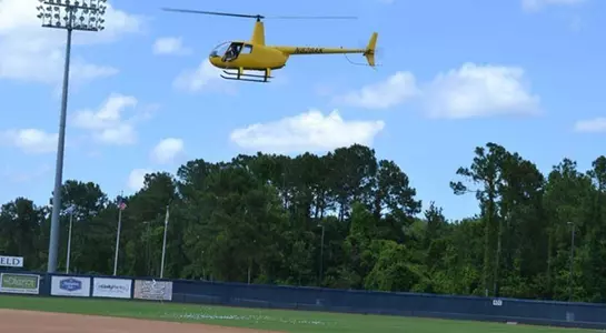 Blue-Gray Helicoptor