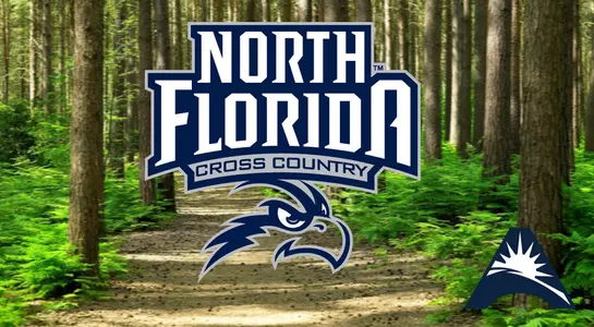 Cross country preview image