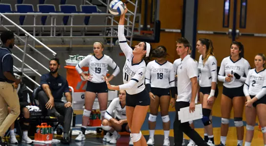 Katarina Raicevic- Serve