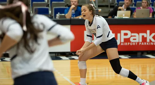 Kaileen Herman and Solimar Cestero celebrate a North Florida Volleyball point.