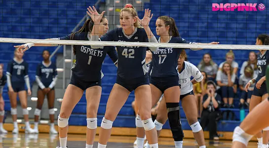 Photo of Taryn Griffey, Solimar Cestero and Madilyn McCarty as they prepare for a serve. Includes a DigPink logo in the upper-right corner.