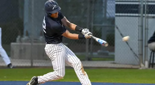 James Fitzpatrick Swing