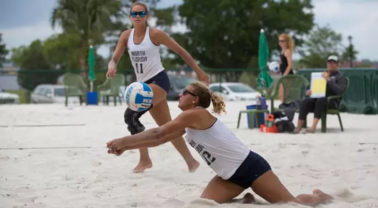 Nicole DeBolt Dig