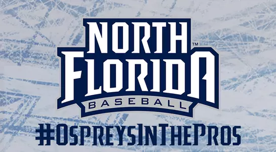 ospreys in the pros template with a logo and text.