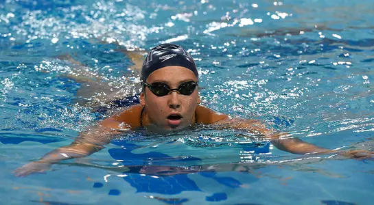 Harvard swims to the start