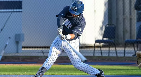 baseball player Abraham Sequera batting