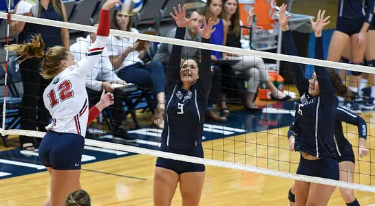 Stingl and Dixon defend the net