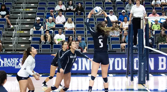 The Ospreys go for a point