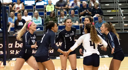The Ospreys celebrate