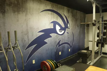 Picture of the Osprey head on the wall