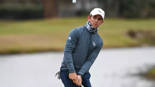 Robbie Higgins watches his chip shot fly towards the green