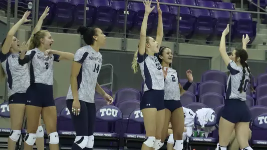 volleyball team celebration
