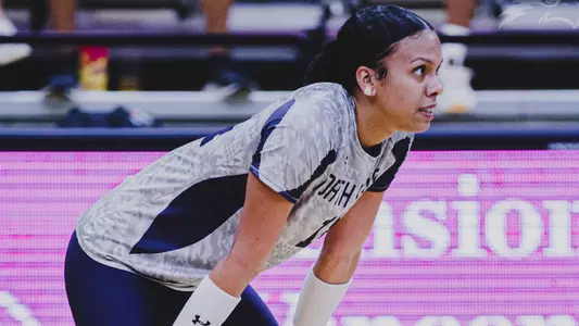 Hollingsworth Santana