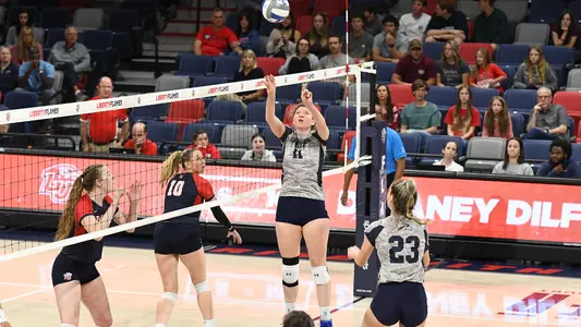 Savannah Cook setting the ball