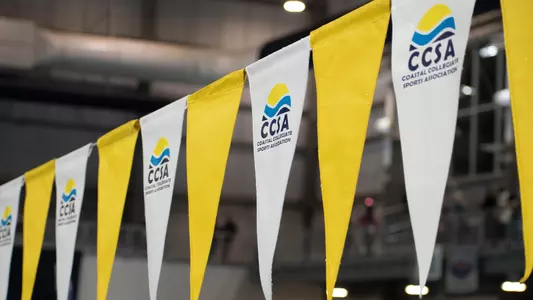 CCSA Flags