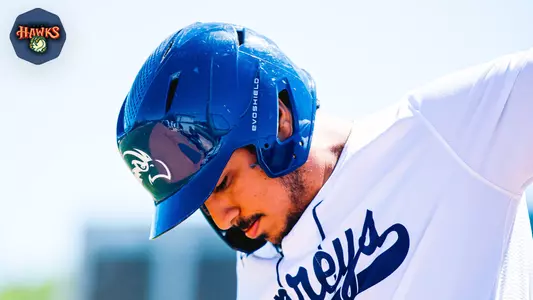 Abraham Sequera at the plate with a Boise Hawks logo